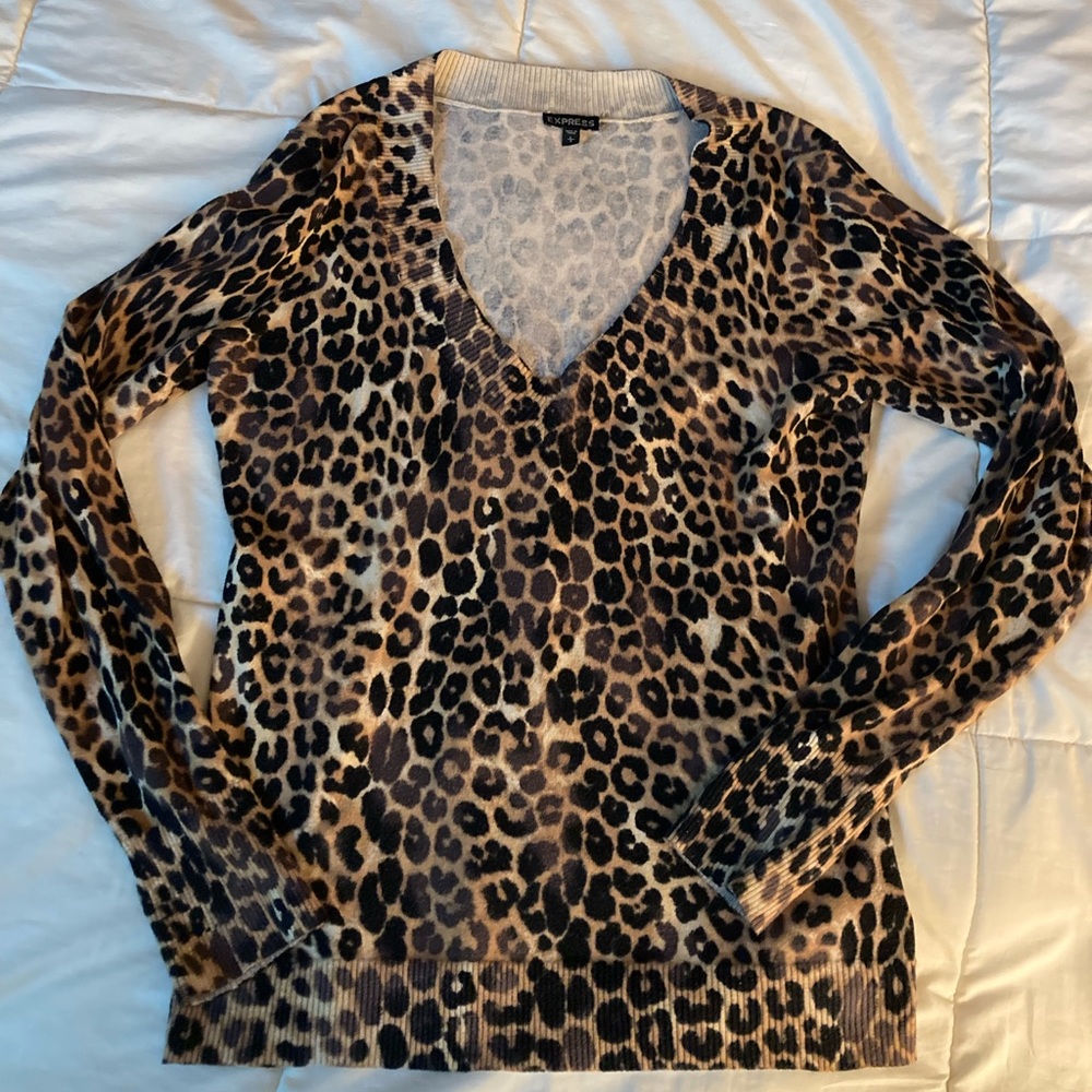 Express leopard sweater